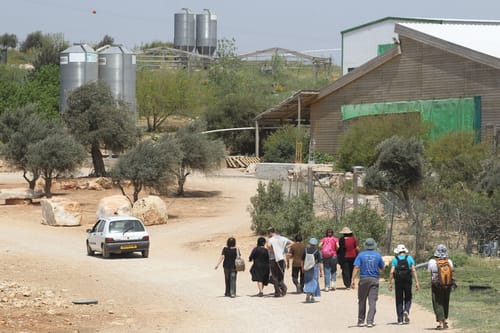 זה הזמן שלכם לתת גב לגבעות