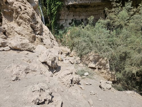 אחרי חילוץ הפצועים: תיעוד ממקום האסון