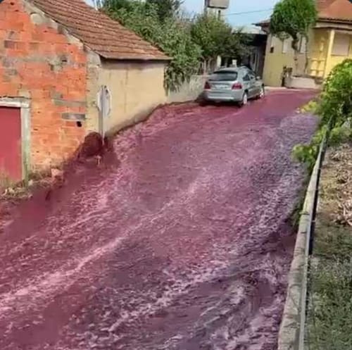 צפו: נהר יין נוצר בפורטוגל כתוצאה מתאונה ביקב