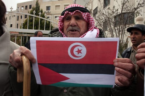 טוניס: פורעים שרפו וביזו ציון של רבי יוסף אל מערבי