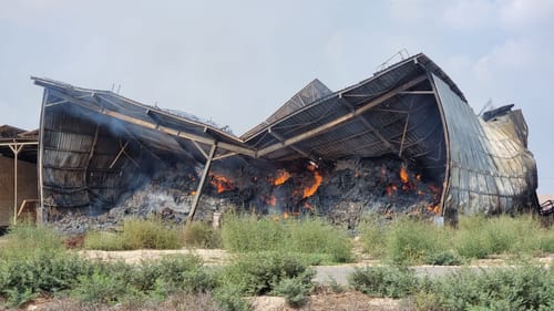 תנובה מקימה קרן של כ-15 מיליון שקל  לתמיכה ברפתות בעוטף