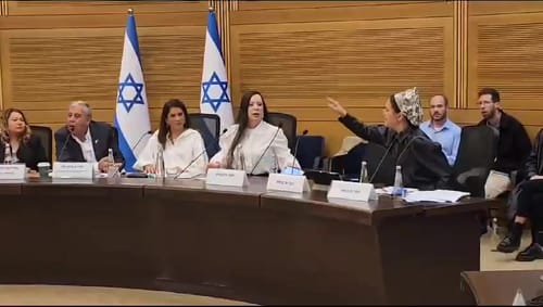 הח"כית סילקה פעילת יש עתיד שלעגה לשכול