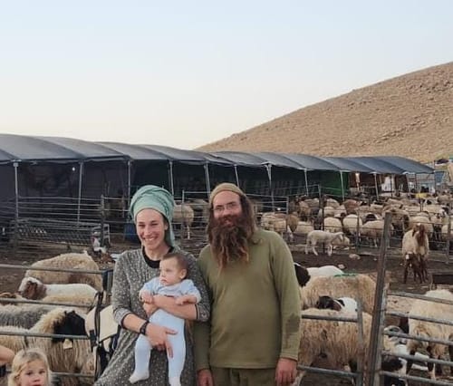 שרשרת כשלים: נריה בן פזי מערער על צו ההרחקה נגדו