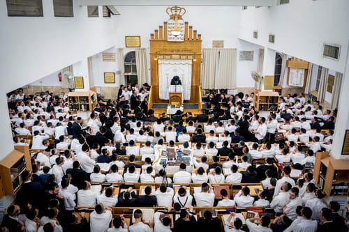 האב השכול נגד המחאה החרדית: "בישראל לא רודפים לומדי תורה"