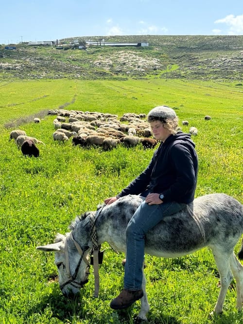 בנימין נאבק ברוצחיו שהתנפלו עליו בסכינים וסלעים