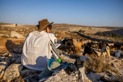 לשים גבול לחוצפה שלנו, העירוניים, כלפי המתנחלים