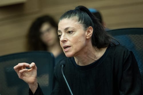 כוכבת הרשת נגד מיכאלי: "לכי הביתה טיפשה"
