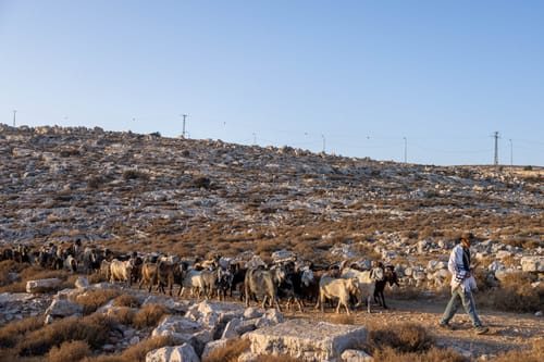 כבר 5 ימים: 3 קטינים עצורים בלי לראות עורך דין