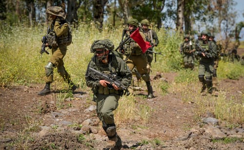 לאחר האישור בממשלה: אלו ההטבות שיקבלו משרתי המילואים