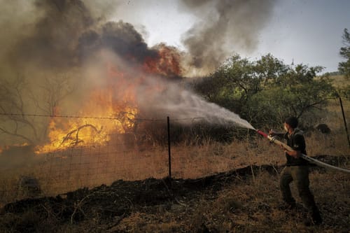 מנהל המרחב: זה האסון הגדול בהיסטוריה של קק"ל