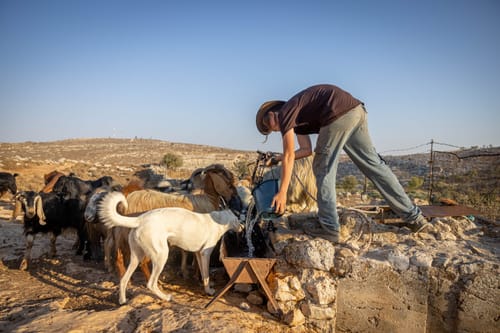 בימין מגיבים להחלטה הדרמטית: "הסרת חרפה"