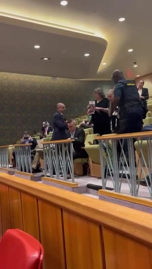 יפה בן דוד הוצאה מהאו"ם אחרי שהניפה תמונת חטוף