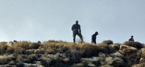 לינץ' ברמת מגרון: רועה צאן הותקף בידי פורעים ערבים