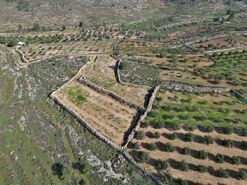 בעקבות העתירה לבג"ץ: תיעצר הפלישה הבלתי חוקית בגוש עציון