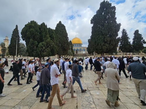 מחדל משטרתי בהר הבית: קטין נעצר בטענה כי הפר צו שלא היה קיים