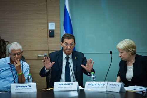 תיחקר בכנסת? זימון דחוף לפצ"רית לעדות בוועדת חוץ וביטחון