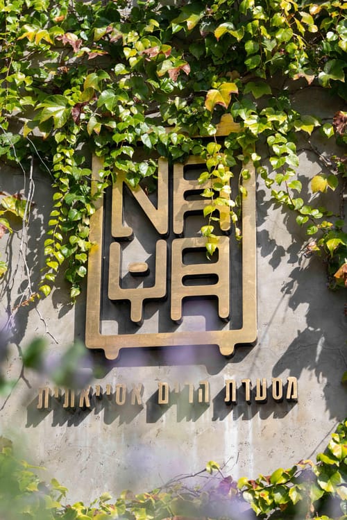 נאיה – האסייתית בבית נקופה שתרצו לחזור אליה שוב ושוב