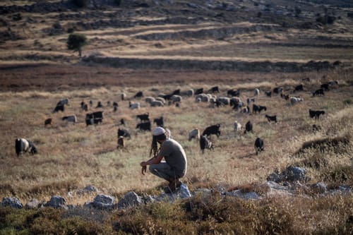 דיווח: שני ערבים נהרגו לאחר שתקפו יהודי בבנימין