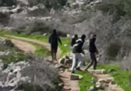 עשרות פורעים ערבים תקפו תושבים צפונית לקדומים