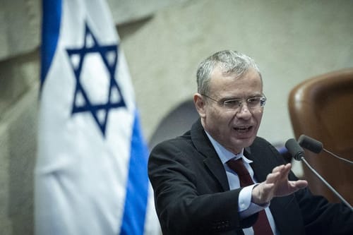 לוין בהקלטה: "לא נצטרך רפורמה, אתם פשוט תיכחדו"