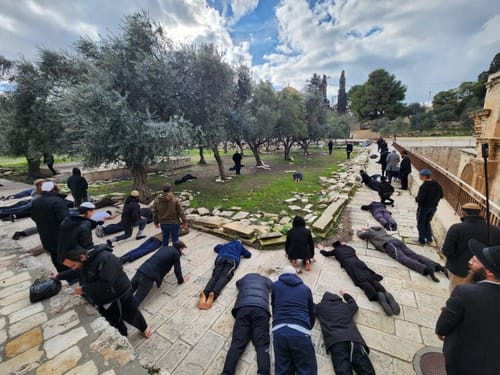 הזינוק נמשך: עלייה נוספת בכמות המתפללים בהר הבית