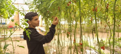 מחזקים את העוטף: המלצה לטיול כלניות משפחתי בחבל אשכול