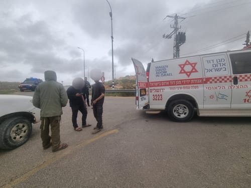 באלות ואבנים: רועה צאן הותקף בידי פורעים בגוש עציון 
