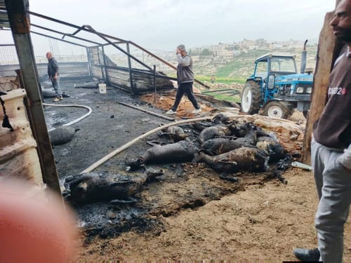 המשטרה על שריפת הדיר בסמוע: חשד לקצר חשמלי