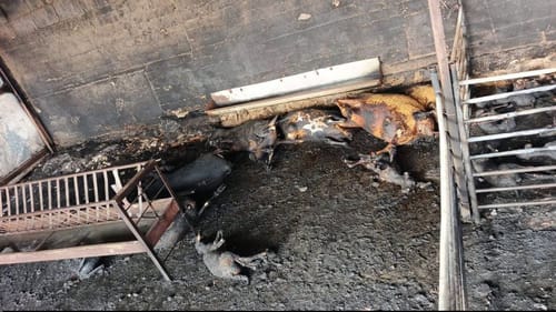 בדיקה ראשונית מעלה: השריפה באזור סמוע לא הייתה "תג מחיר"