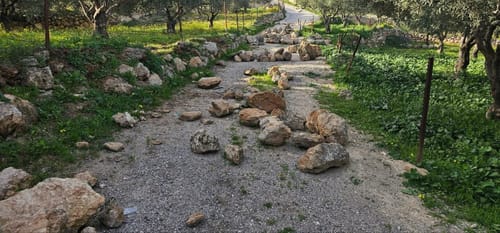 טרור בבנימין: כ-50 פורעים תקפו רועי בקר יהודים
