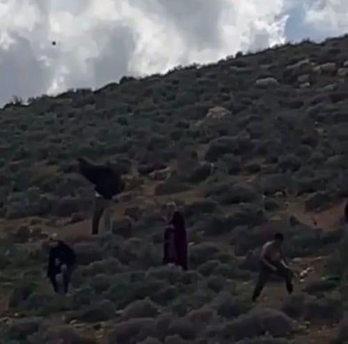 האלימות נגד רועי הצאן: שלושה פלסטינים נעצרו בבקעת הירדן