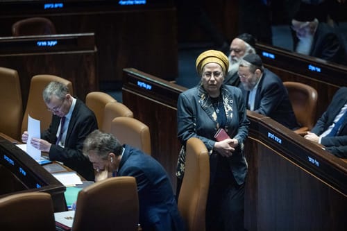 כך סטרוק גרמה לממשלה להחליט להקים עיר נוספת ושמרה על הנגב