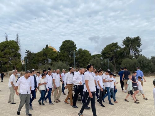 עלייה להר הבית תיאסר בחוק? הסעיף הבעייתי בהצעה של אבי מעוז