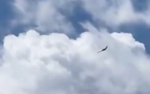 הכנף המעופפת: החמקן הסודי ביותר של צה"ל תועד מעל איראן