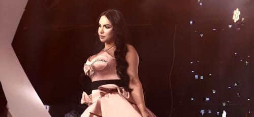 הרשת גועשת: האח הגדול הכניסו פרו פלסטינית לבית?