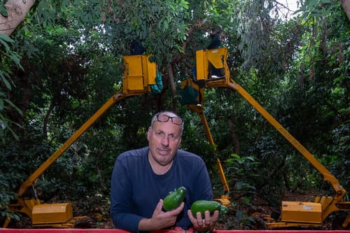 פרי האבוקדו ממטעו של עופר מושקוביץ ז"ל הגיע לבית הנשיא