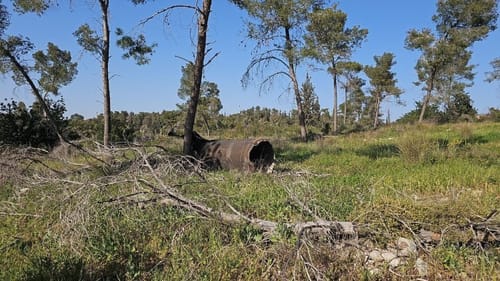 קק"ל מודיעה על סגירה מיידית של כל היערות והאתרים ברחבי הארץ