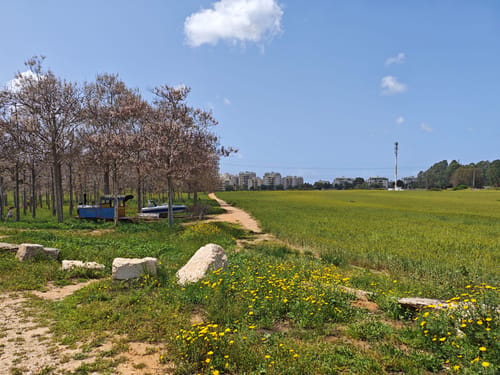 מבית יתומים ועד מפקדת אלנבי: טיול אביבי בנצר סירני