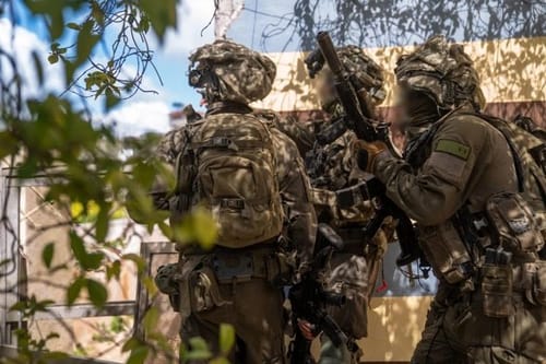 הוסתר היטב בין השיחים: כך נחשף המשגר של חיזבאללה