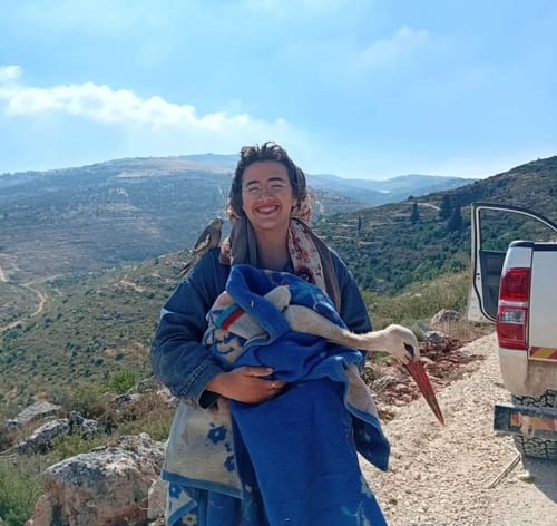 תושבי החווה בשומרון הצילו חסידה שנפגעה במזבלה ערבית