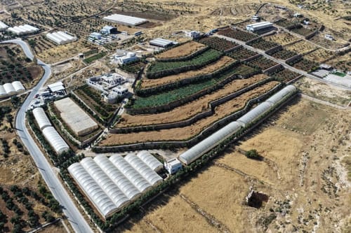 פלסטינים השתלטו על שטח עצום בהר חברון