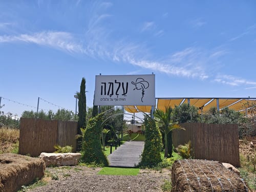 על מה ולמה בעלמה