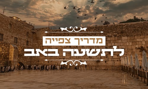 מדריך צפייה לתשעה באב: סרט דוקו מרגש ושידור חי מהכותל
