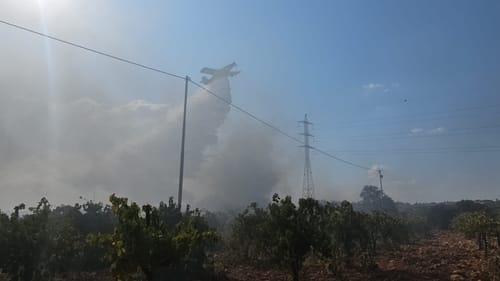 שריפה בצומת הגוש: האש מתפשטת בחסות הרוחות