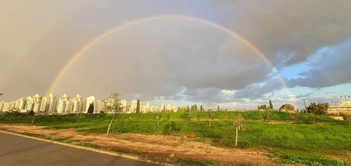 קשר הקשת: האם סמל המבול זה סימן טוב או רע?