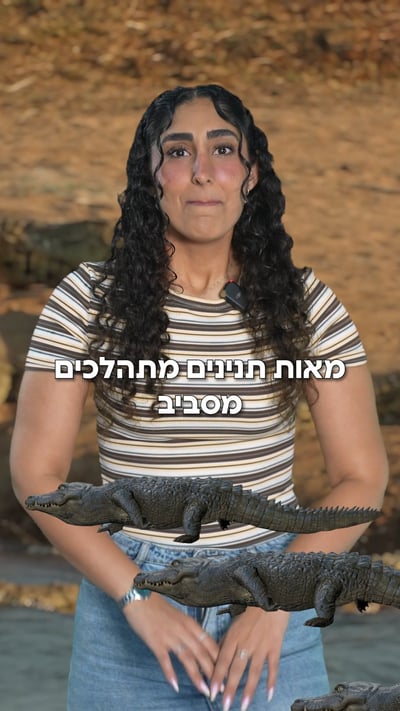 התנינים של בן גביר נשמעים לכם מוזרים? חכו שתכירו את בתי הכלא האלה


