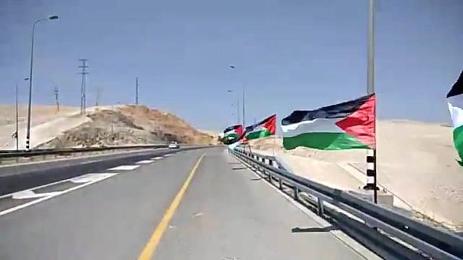 דגלי פלסטים אביחי שורשן
