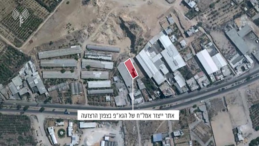תקיפה עזה