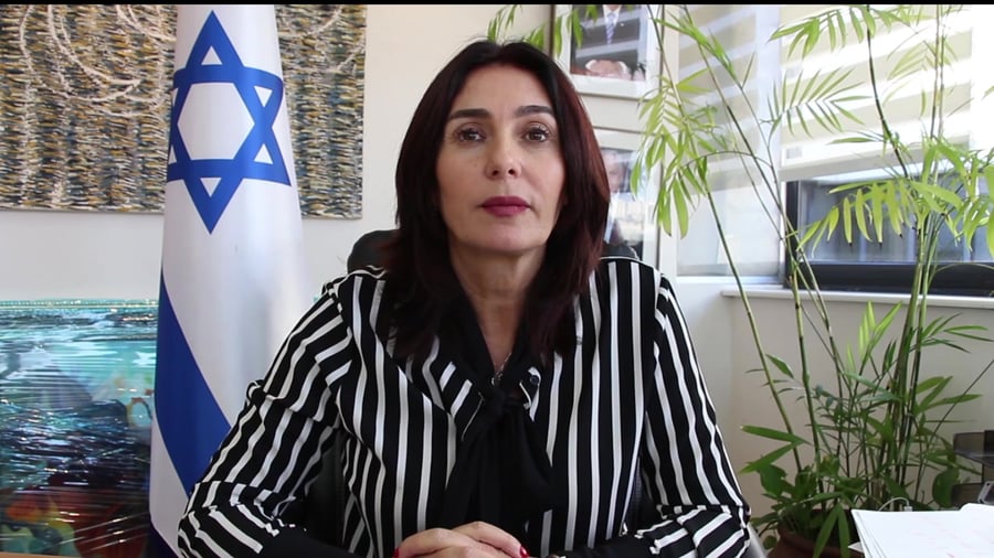 רגב תגובה שטרן