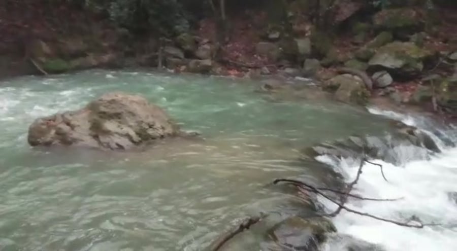 WhatsApp Video 2018-12-27 at 10.18.14